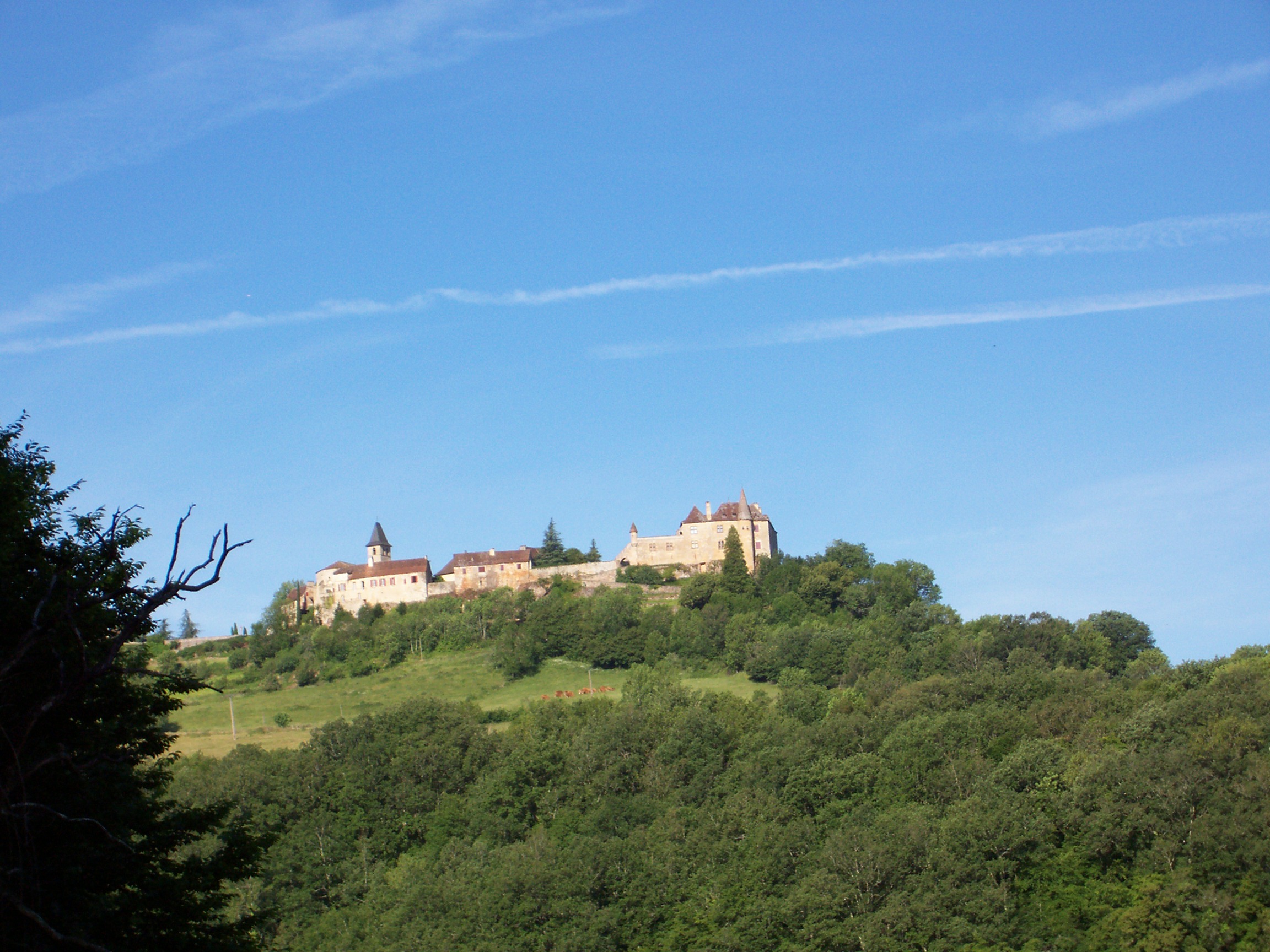 Le Château et le village de Loubressac