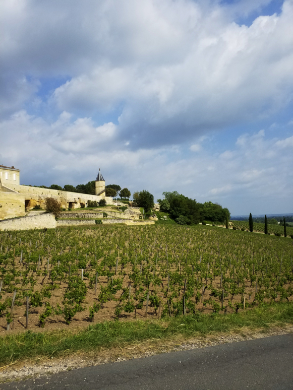 The châteaux and their vineyards
